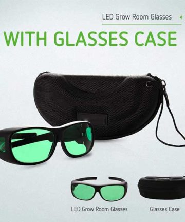 Protective Eyewear