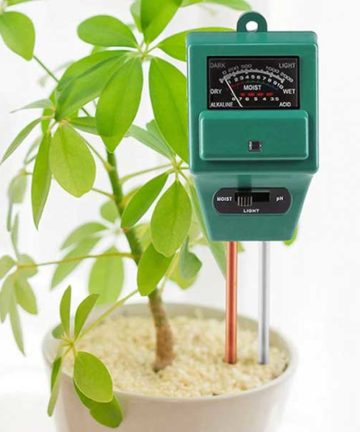 Moisture & PH Meter