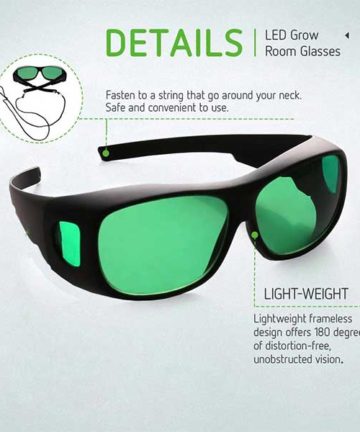 Protective Eyewear