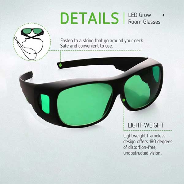 Protective Eyewear