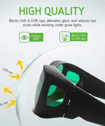 Protective Eyewear