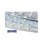 Round LED Light
