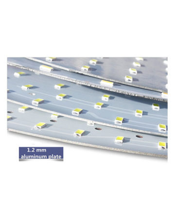 Round LED Light