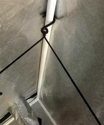 Scrog Net