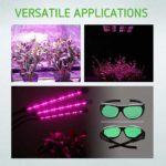 Protective Eyewear
