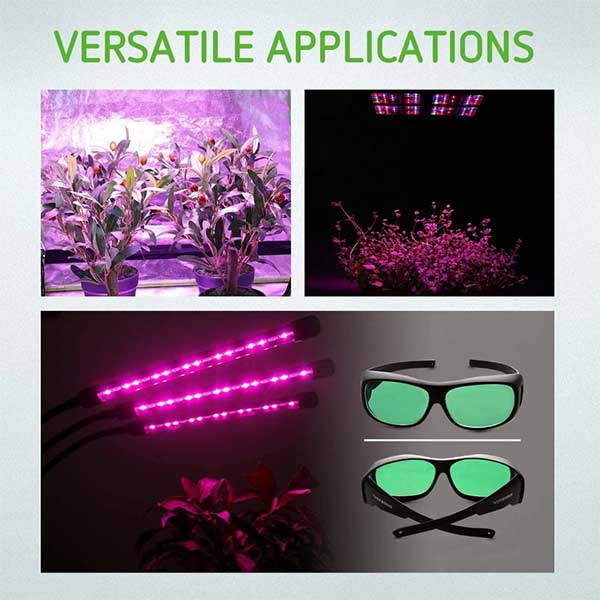 Protective Eyewear