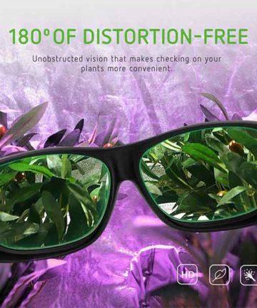 Protective Eyewear