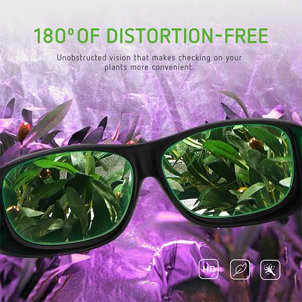 Protective Eyewear
