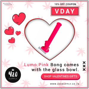 04-Square-Post-Lumo-Pink-Bong